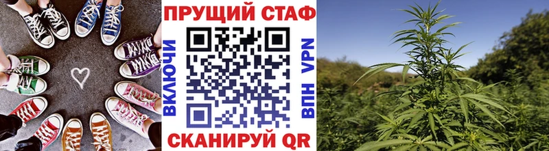 Купить наркоту Бакал Галлюциногенные грибы  Кокаин  Бутират  ГАШИШ  Мефедрон 