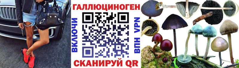 как найти МЕГА сайт Псилоцибиновые грибы мухоморы Бакал